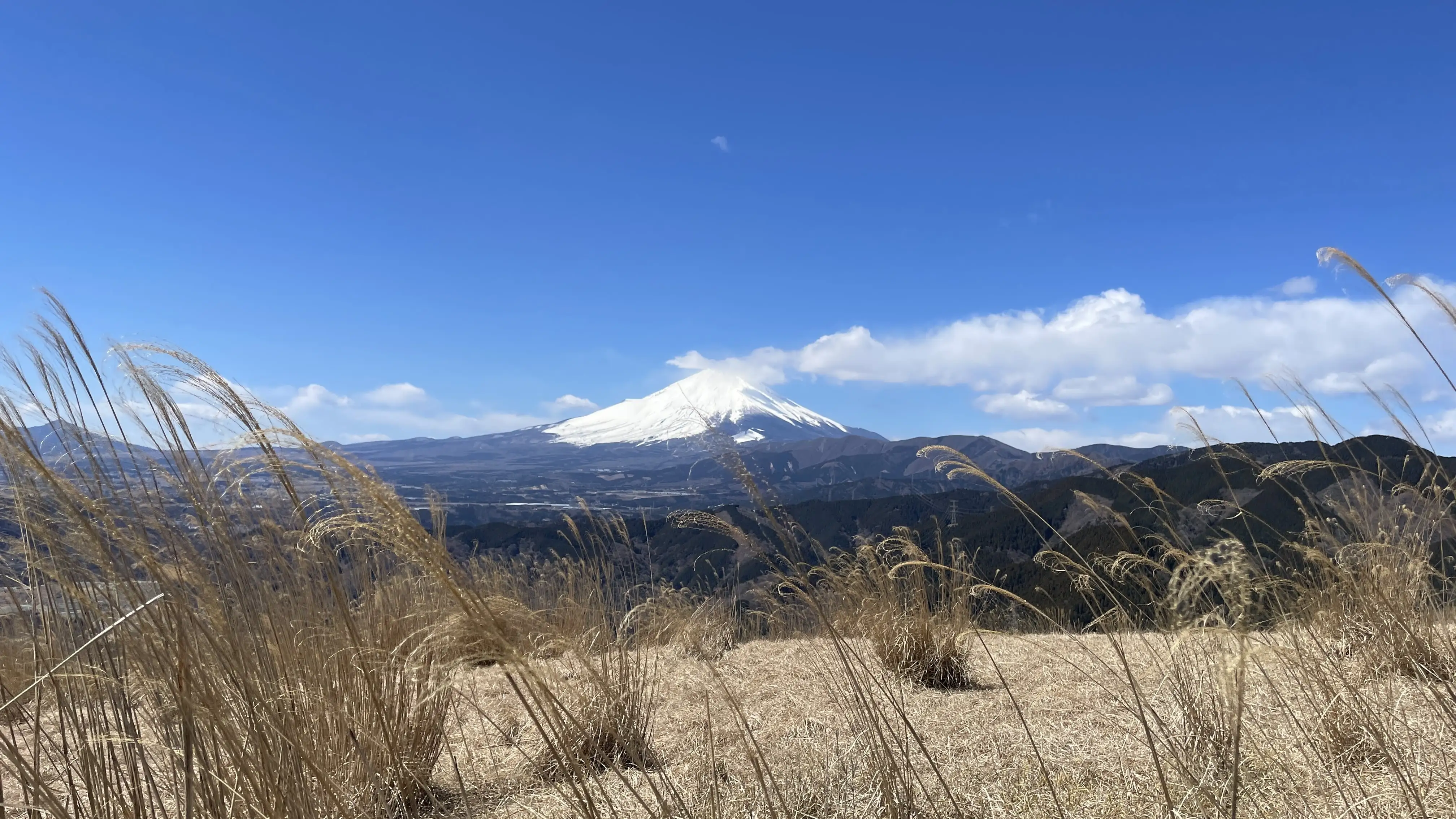 Wanderweg in der Natur rund um Tokio
